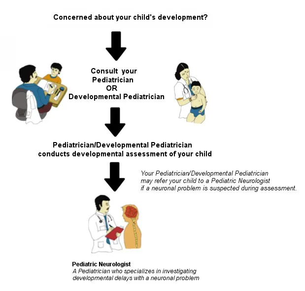 Developmental Pediatrician vs Pediatric Neurologist