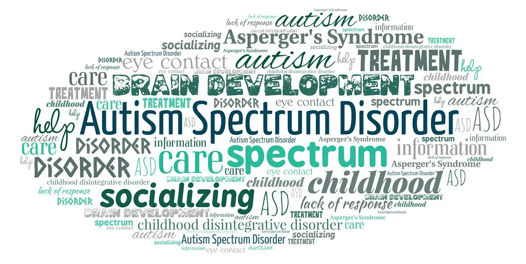 Nayi disha team_Resources about ABA principles_Blog_Autism